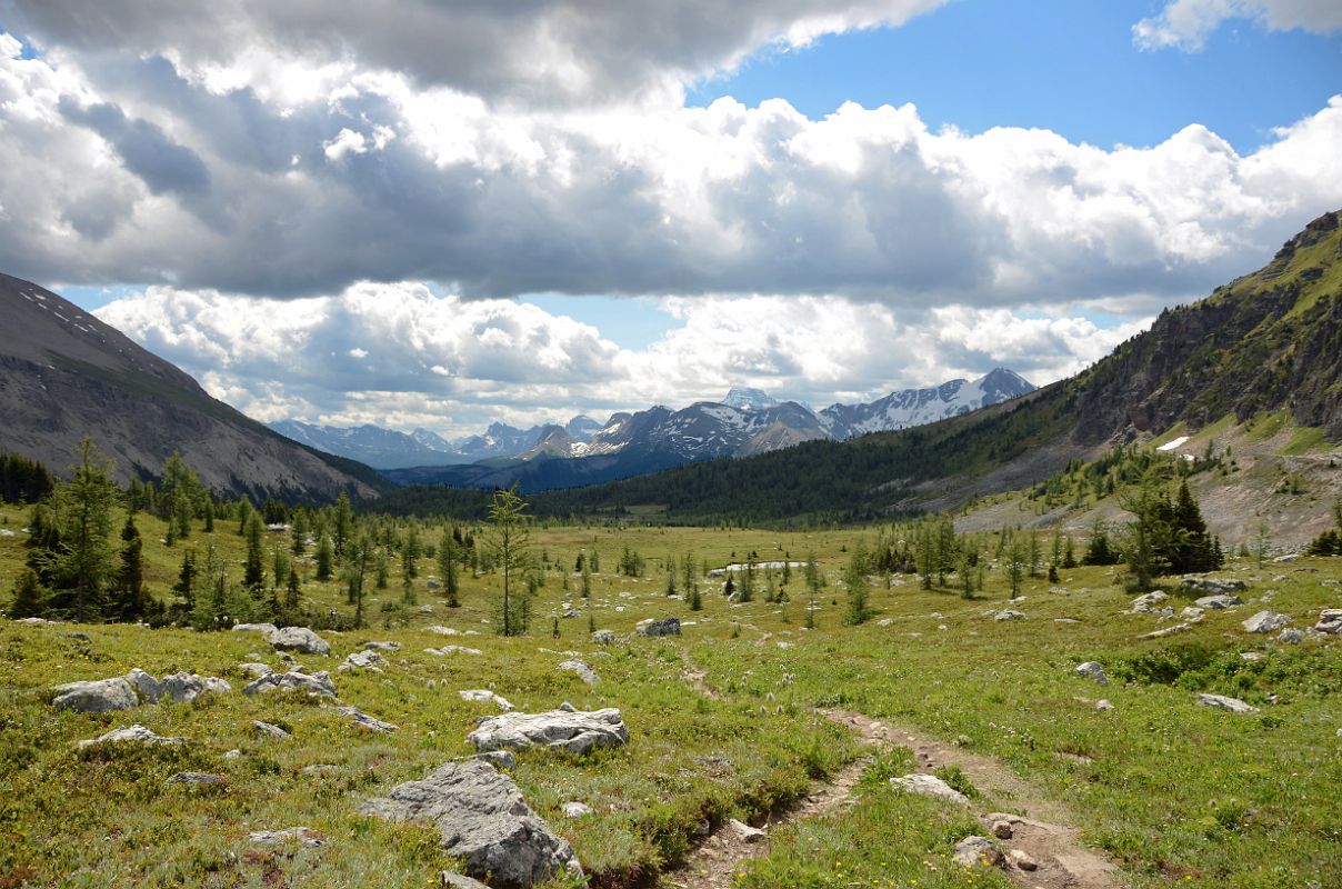 18 Citadel Pass With View To Terrapin Mountain, Mount Assiniboine With Summit in Clouds, Nestor Peak On Hike To Mount Assiniboine